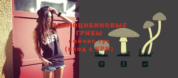 МДПВ Надым